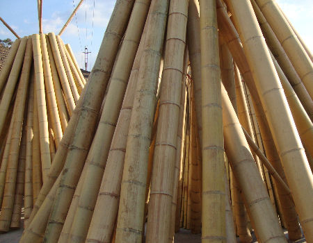 Eco-Friendly Bamboo Poles Toamto Beans Potted Plants for Indoor and Outdoor Plants 2