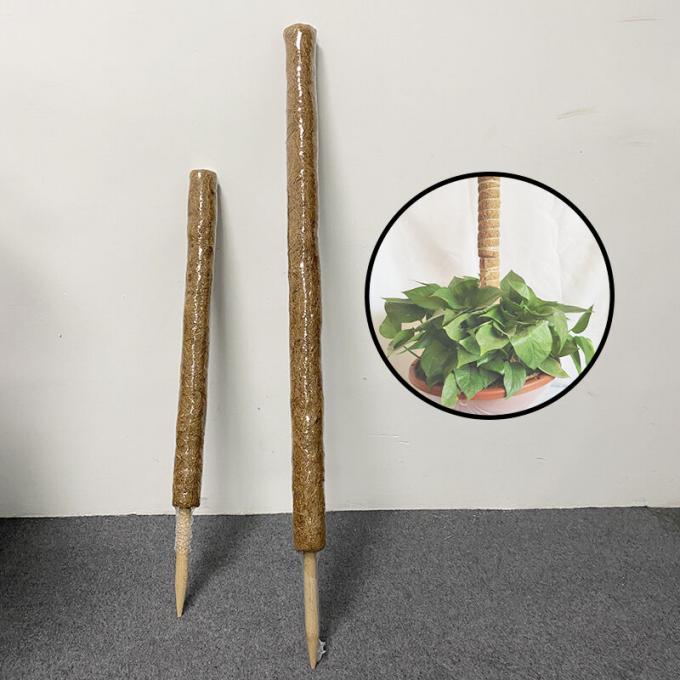 Coconut Palm Coir Moss Stick Totem Pole Coco Coir Totem Pole Plant Support Extension Climbing Indoor Plants Creepers 2