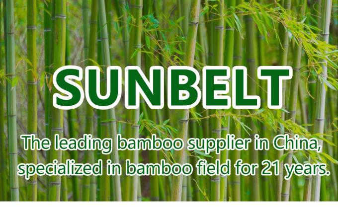 Classic Bamboo Handle Cast Net for Fishing Enthusiasts 0