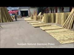 100% প্রাকৃতিক হলুদ বাঁশের খুঁটি 90cm থেকে 595cm গাছের বাগান