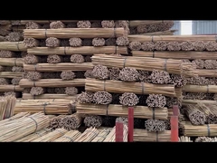 সানবেল্ট বাঁশের কারখানা পরিচিতি