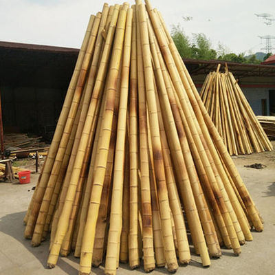 নির্মাণ বাঁশ কাঁচামাল