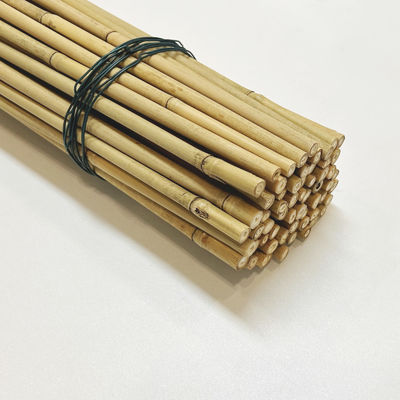 10cm Raw Bamboo Poles