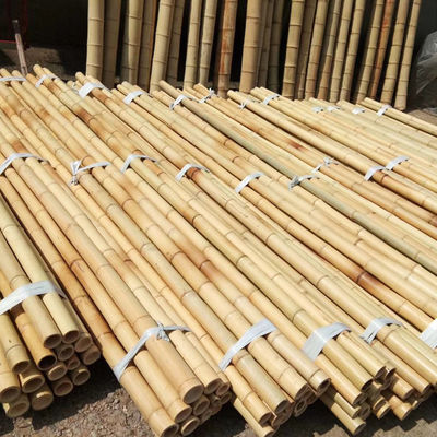 Natural Garden Bamboo Sticks For Indoor Outdoor Tomatoes Potted Plants Support Stakes