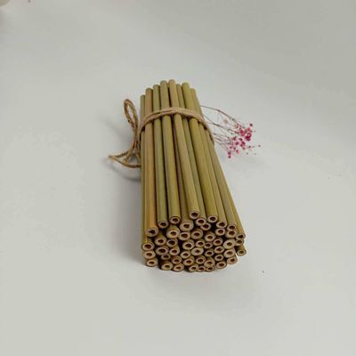Custom Natural Biodegradable Bamboo Straws 20cm Reusable Straight Straws With Brush