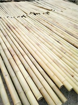 Nature Raw Bamboo Straight Bamboo Poles For Garden Farm Plant Support Building