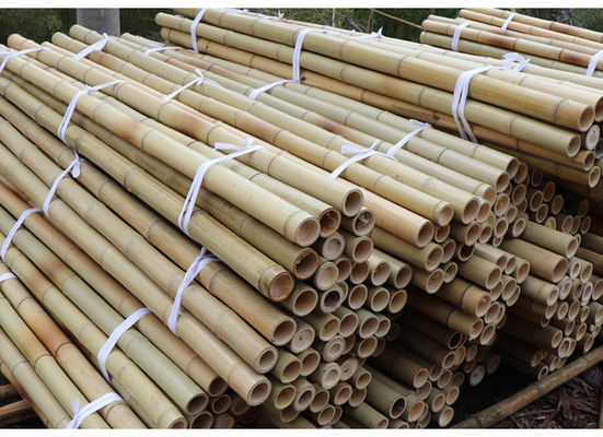 Garden Furniture Natural  Bamboo Poles Stakes Straight For Garden Plant Length 16cm