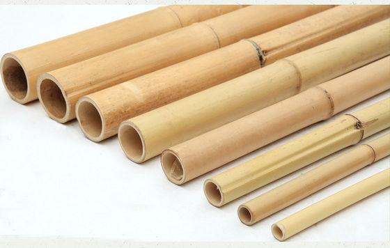 100% Natural Raw 240cm Bamboo Pole Building Deoration 60cm To 595cm