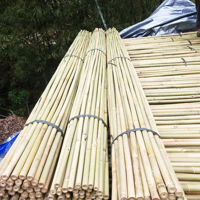 Natural Garden Bamboo Sticks For Indoor Outdoor Tomatoes Potted Plants Support Stakes