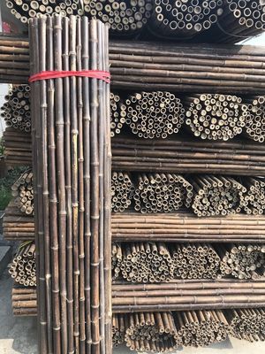 120cm Raw Bamboo Pole