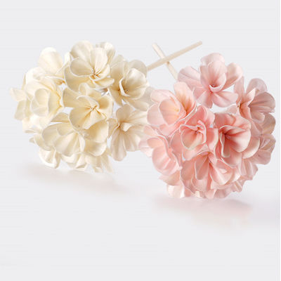 Home Fragrance Preserved Reed Diffuse Dried Sola Flower Reed Diffuser with Cotton Wick