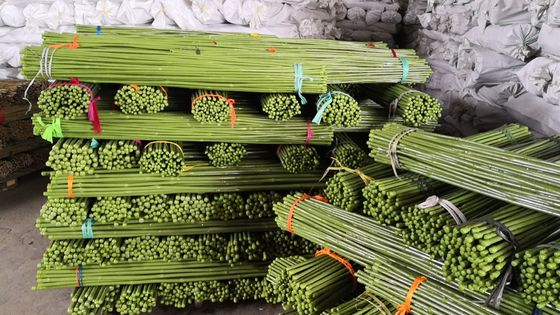 Customized Size Painted Bamboo Poles