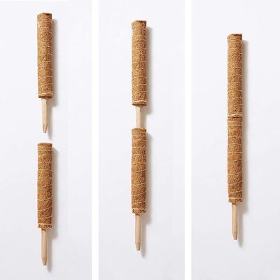 Moss Pole Plant Support Climbing Coconut Poles Palm Stick Colored Plant