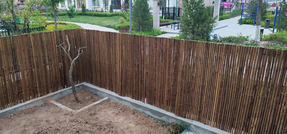 Natural Bamboo Raw Material Garden Fencing Panels With 180cm 240cm Length