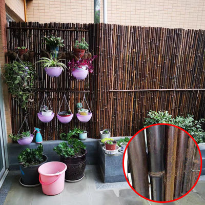 Natural Bamboo Raw Material Garden Fencing Panels With 180cm 240cm Length