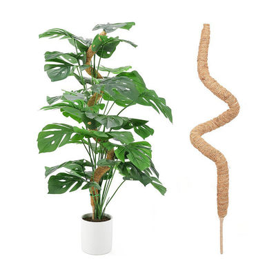 Moss Pole Plant Support Climbing Coconut Poles Palm Stick Colored Plant