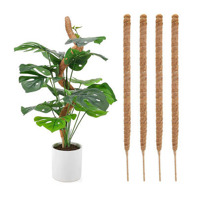 Moss Pole Plant Support Climbing Coconut Poles Palm Stick Colored Plant