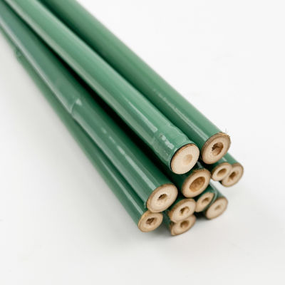 Plastic Coated Natural Raw Bamboo Poles For Tomatoes Trees Plant Stakes Supports