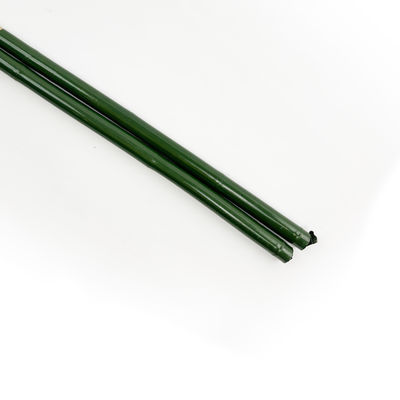 Plastic Coated Natural Raw Bamboo Poles For Tomatoes Trees Plant Stakes Supports