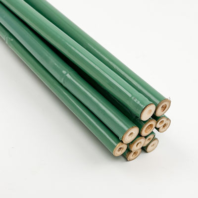 Plastic Coated Natural Raw Bamboo Poles For Tomatoes Trees Plant Stakes Supports