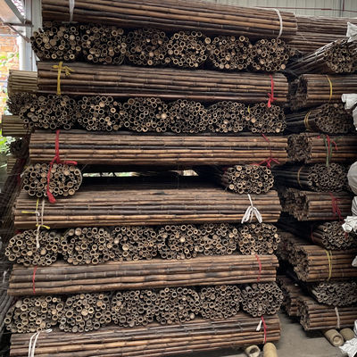 Anti Mould Painted Bamboo Stakes Colourful Plant Tonkin Carbonized 250cm
