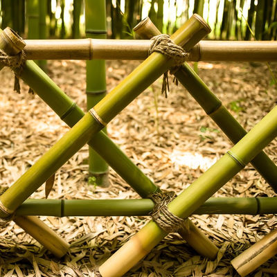 3 Inch Moso Bamboo Pole Pure Natural Bamboo Stakes For Plant Decoration Yellow