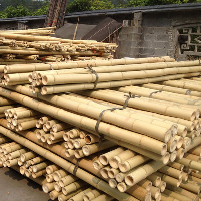 100% Natural Yellow Bamboo Pole 90cm To 595cm Plant Garden Stakes