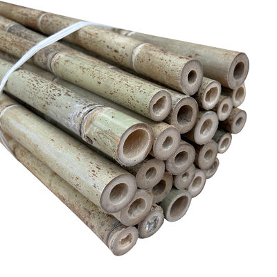 Natural Raw Moso Bamboo Poles 2cm 3cm 4cm 5cm 6cm 8cm 10cm Diameter