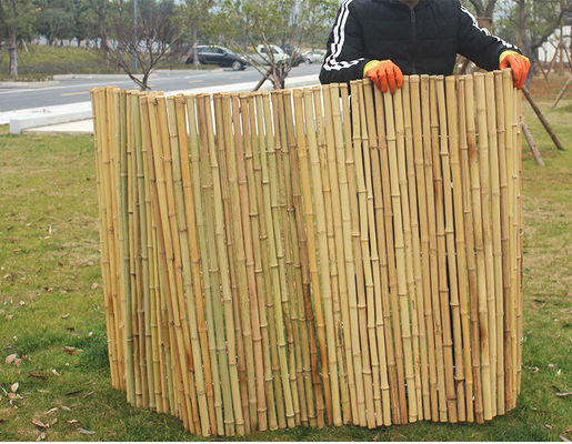 Smoked Decorative Bamboo Fence Screen Fencing For Nursery Garden Green House