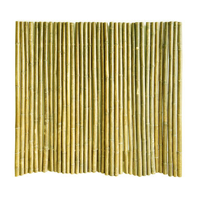 Black Natural Decorative Bamboo Fence 4Ft 6Ft 8Ft For Garden Privacy Home Garden