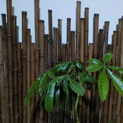 120cm Raw Bamboo Pole