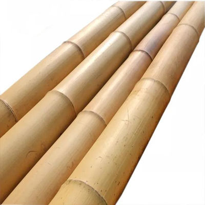 Plant Stakes Natural Garden Stakes For Tomato Bean Flowers Trees Potted And Climbing Plant Support