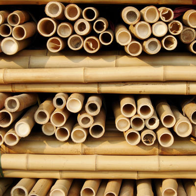 China Bamboo Town Solid Dried Bamboo Poles For Gardening And Construction Nature Bamboo Pole