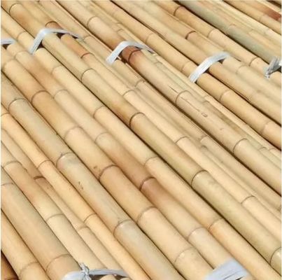 Natural Moss Plant Pole Moss Stick For Climbing Plants Moss Poles Support