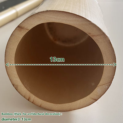 Strong Bamboo Pole for Plant Support Construction and Handicrafts