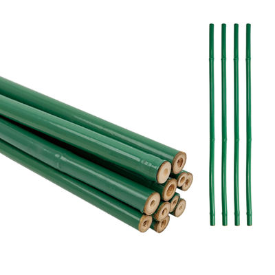 Weatherproof Plastic Covered Bamboo Stake For Gardening / Outdoor