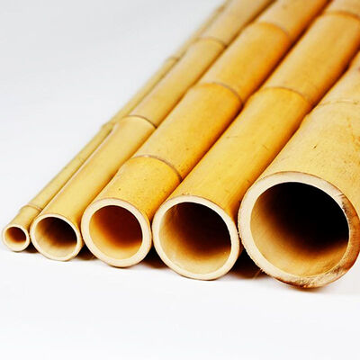 Eco-Friendly Customizable Size Bamboo Pole For Garden Plant Support With Antisepsis Treatment