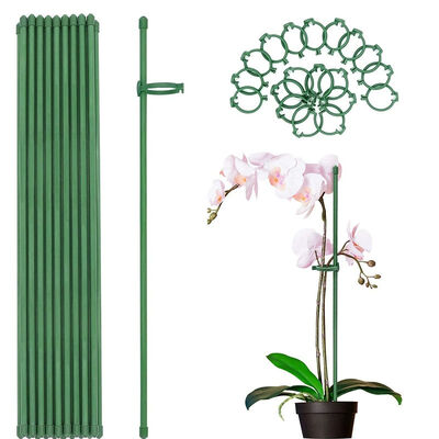 Plastic Coated Metal Stakes Green Garden Stakes for Plant Support Plant Climbing Landscape Fencing