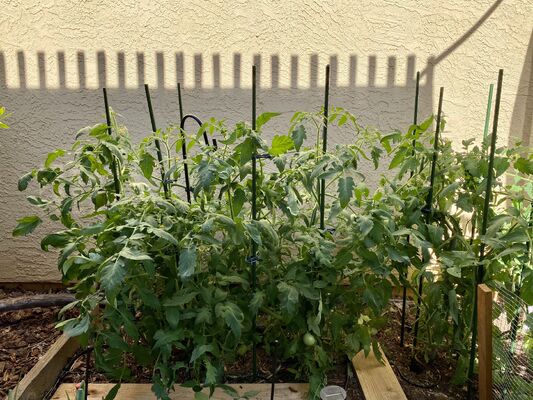 Plastic Coated Metal Stakes Green Garden Stakes for Plant Support Plant Climbing Landscape Fencing