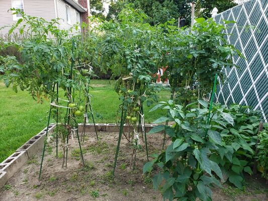 Plastic Coated Metal Stakes Green Garden Stakes for Plant Support Plant Climbing Landscape Fencing