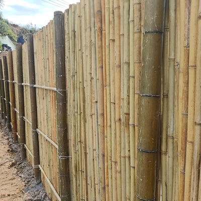 High Quality Natural Bamboo Fence For Garden Privacy Outdoor Decoration